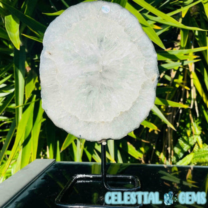 Clear Quartz Large Slice on Stand