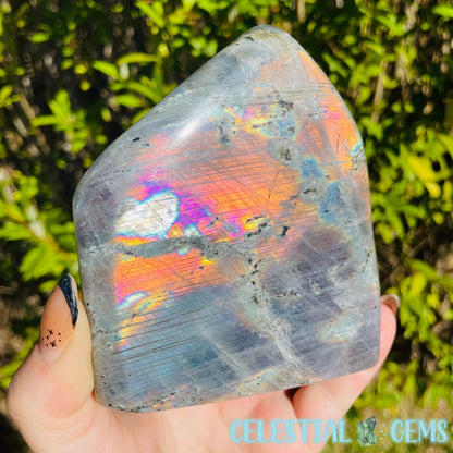 Rainbow Labradorite Medium Freeform