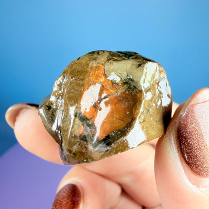 Rare Ammolite Fossil Gemstone Specimen, Canada (Video)