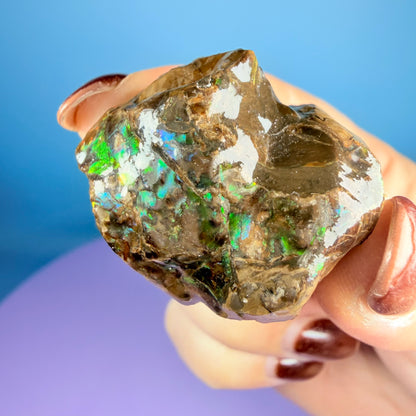 Rare Ammolite Fossil Gemstone Specimen, Canada (Video)