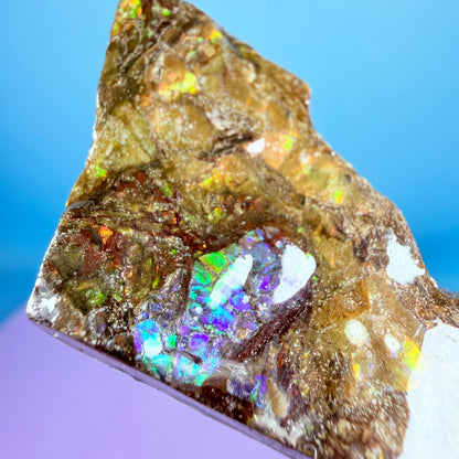 Rare Ammolite Fossil Gemstone Specimen, Canada (Video)