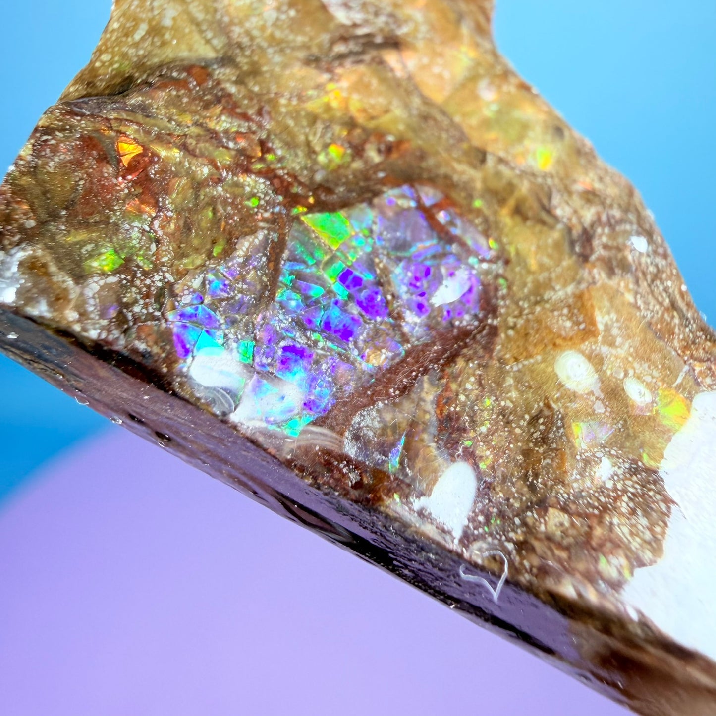 Rare Ammolite Fossil Gemstone Specimen, Canada (Video)
