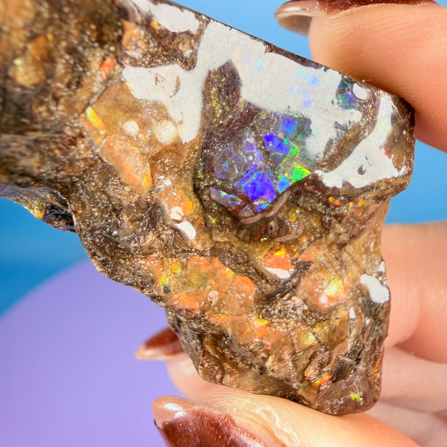 Rare Ammolite Fossil Gemstone Specimen, Canada (Video)