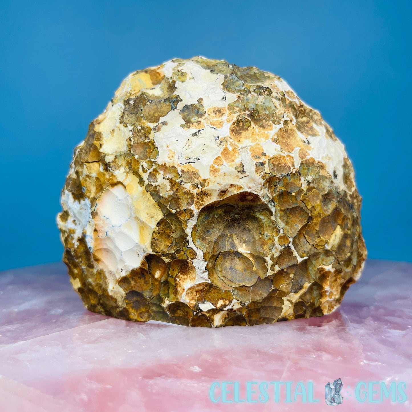 Natural Agate Semi-Polished Small Freeform