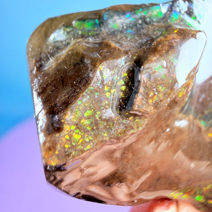 Rare Ammolite Fossil Gemstone Specimen, Canada (Video)