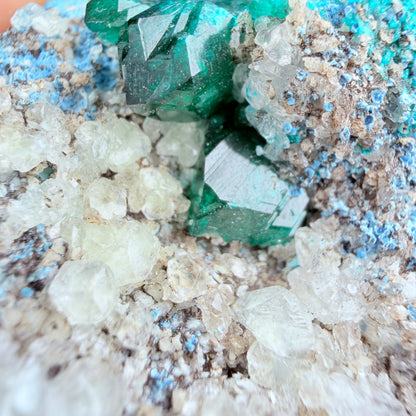 Rare Dioptase, Shattuckite + Calcite Cluster Specimen (Video)