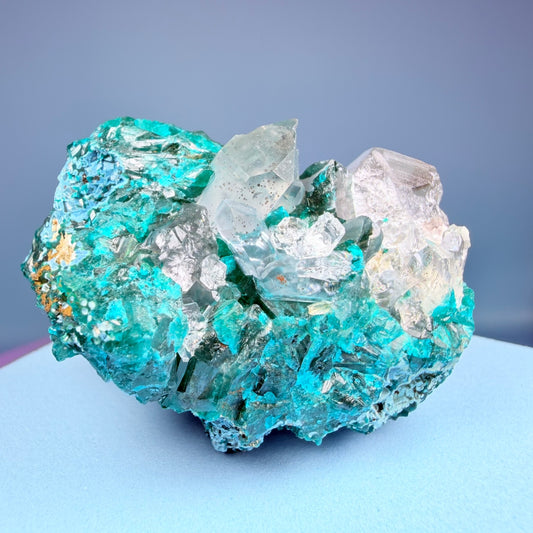 Rare Dioptase, Shattuckite + Quartz Cluster Specimen (Video)