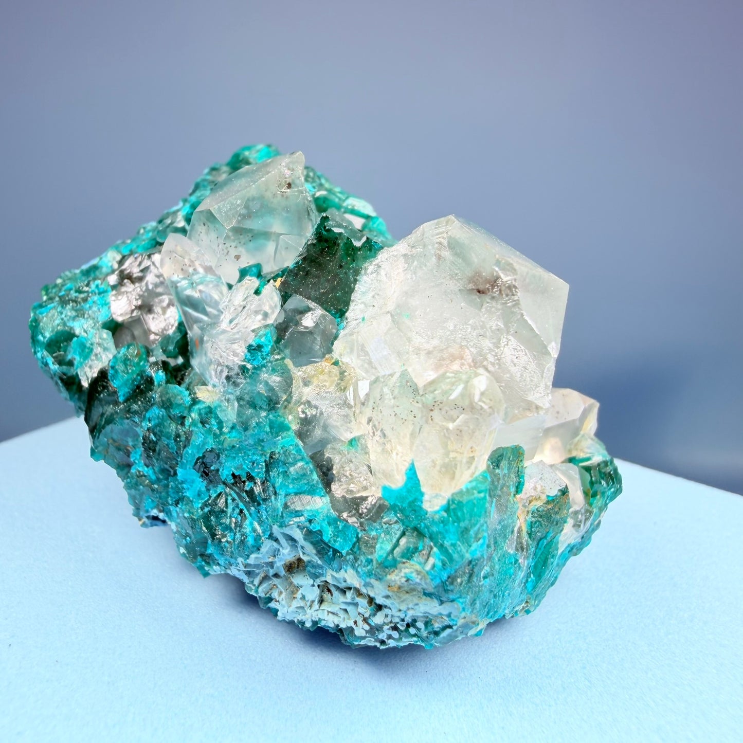 Rare Dioptase, Shattuckite + Quartz Cluster Specimen (Video)