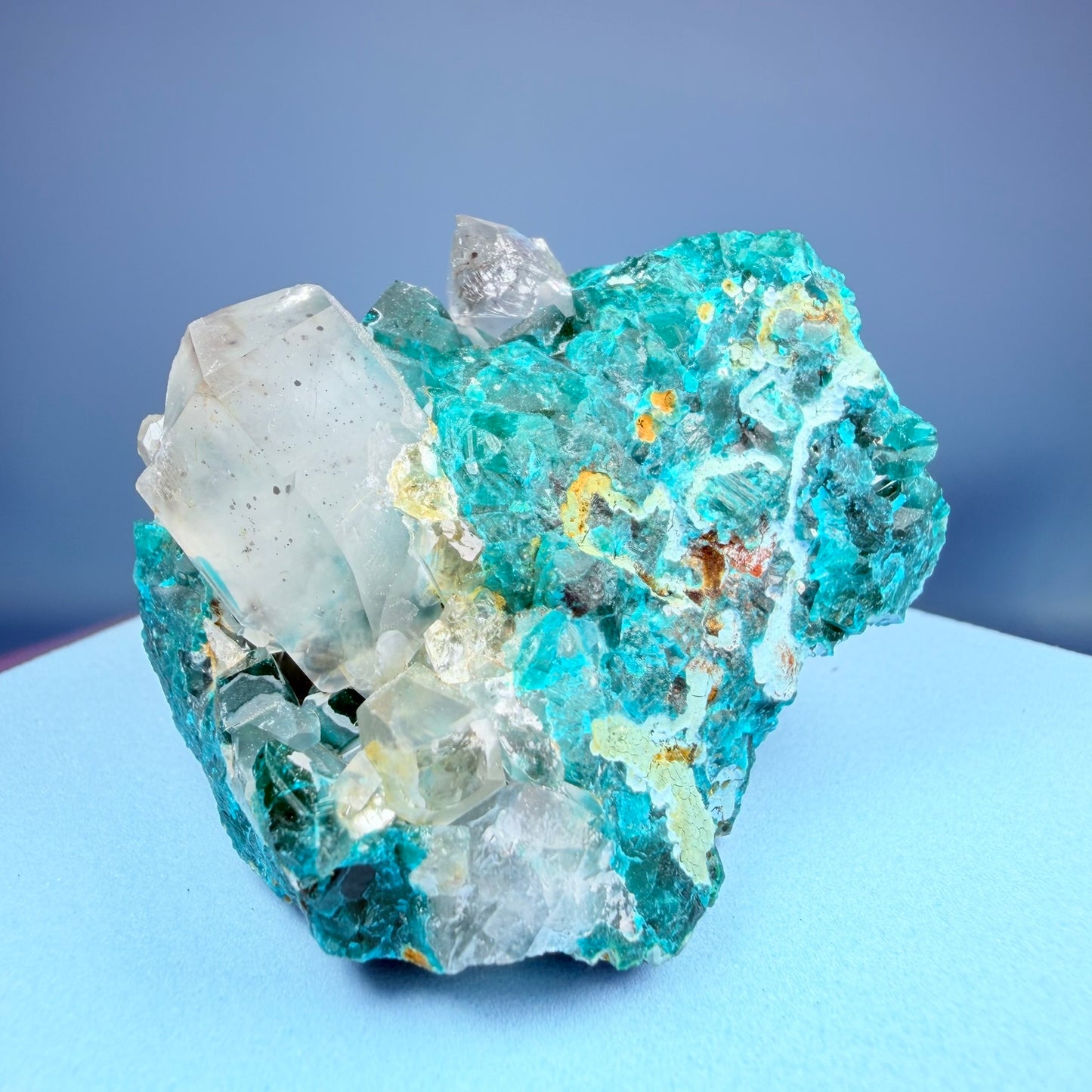 Rare Dioptase, Shattuckite + Quartz Cluster Specimen (Video)
