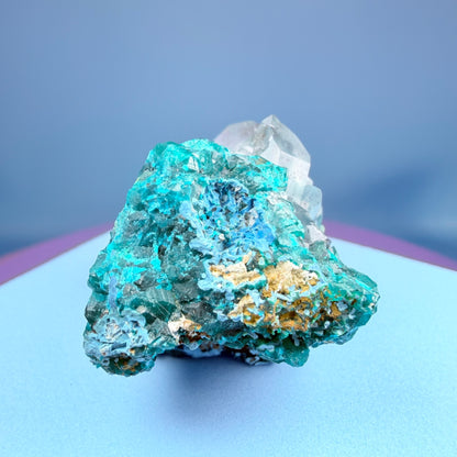 Rare Dioptase, Shattuckite + Quartz Cluster Specimen (Video)