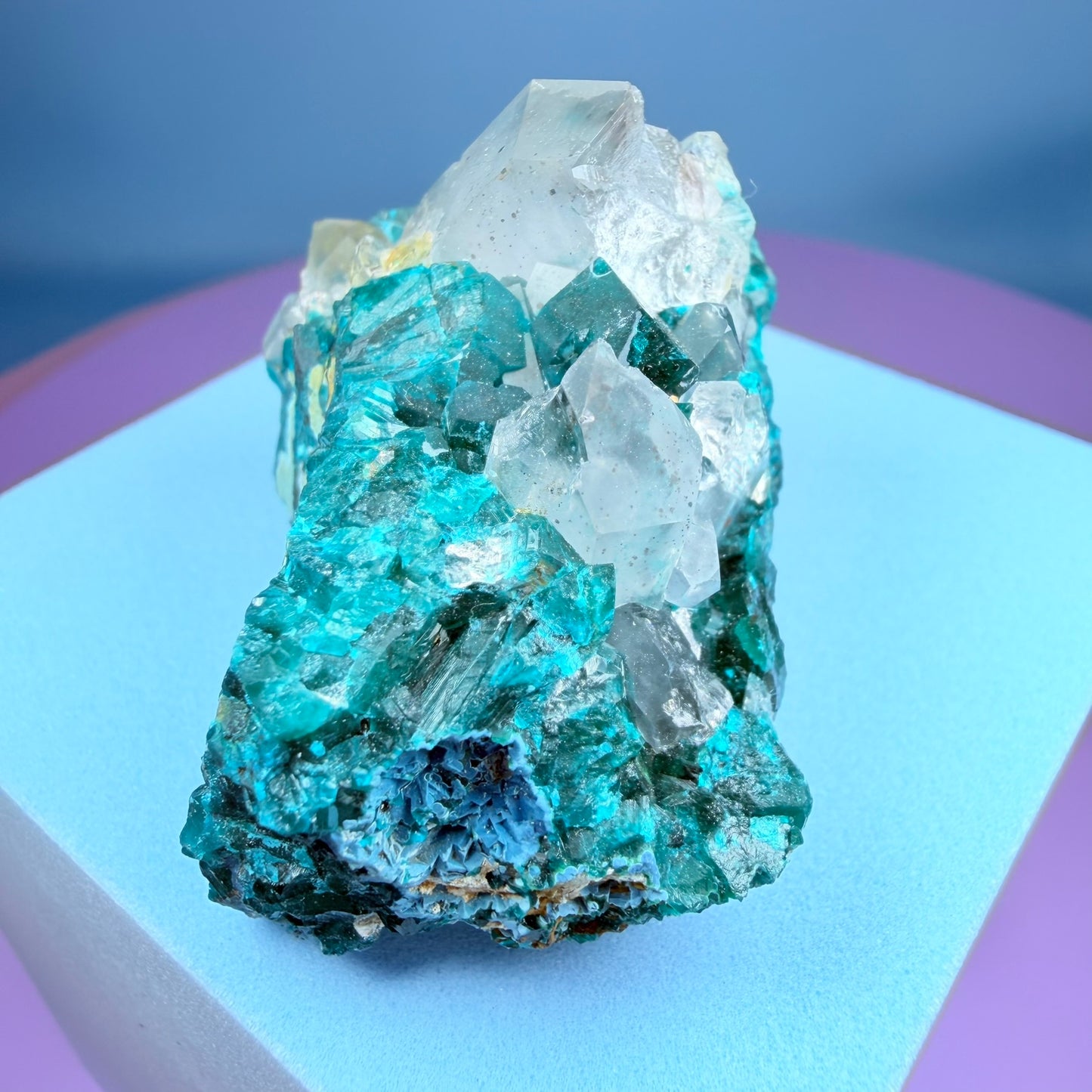 Rare Dioptase, Shattuckite + Quartz Cluster Specimen (Video)