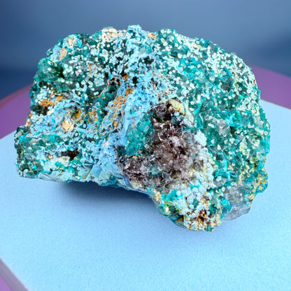 Rare Dioptase, Shattuckite + Quartz Cluster Specimen (Video)