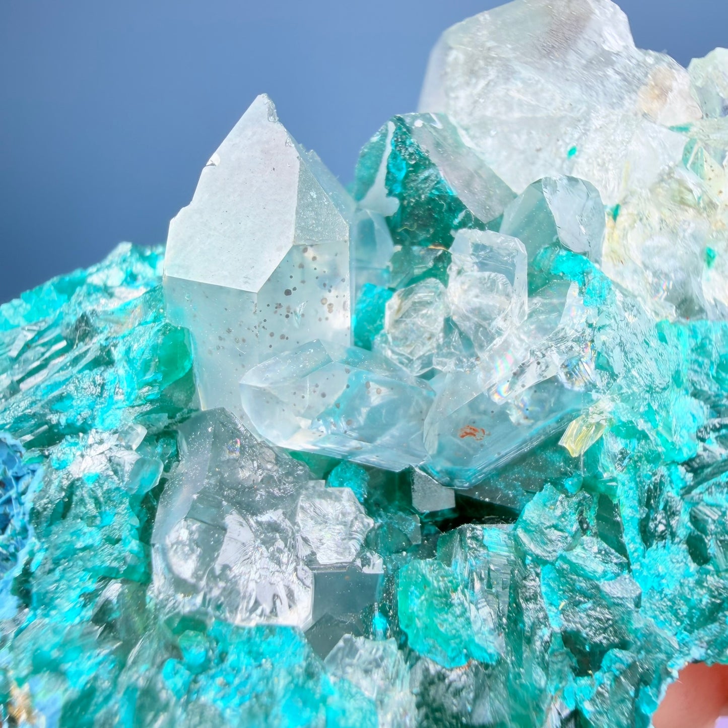 Rare Dioptase, Shattuckite + Quartz Cluster Specimen (Video)