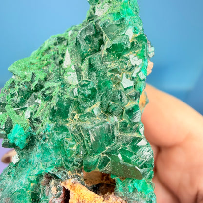 Rare Dioptase + Malachite Cluster Specimen (Video)