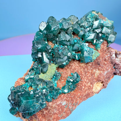 Rare Dioptase Cluster Specimen (Video)
