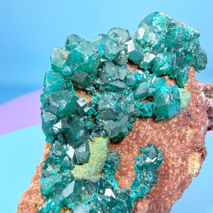 Rare Dioptase Cluster Specimen (Video)