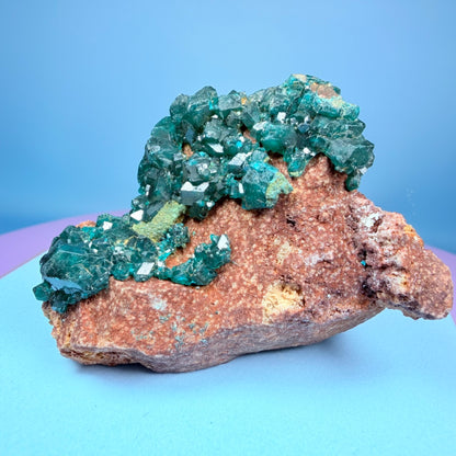 Rare Dioptase Cluster Specimen (Video)