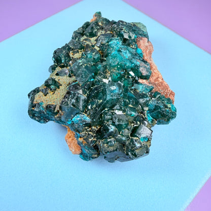 Rare Dioptase Cluster Specimen (Video)