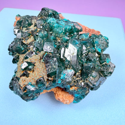 Rare Dioptase Cluster Specimen (Video)