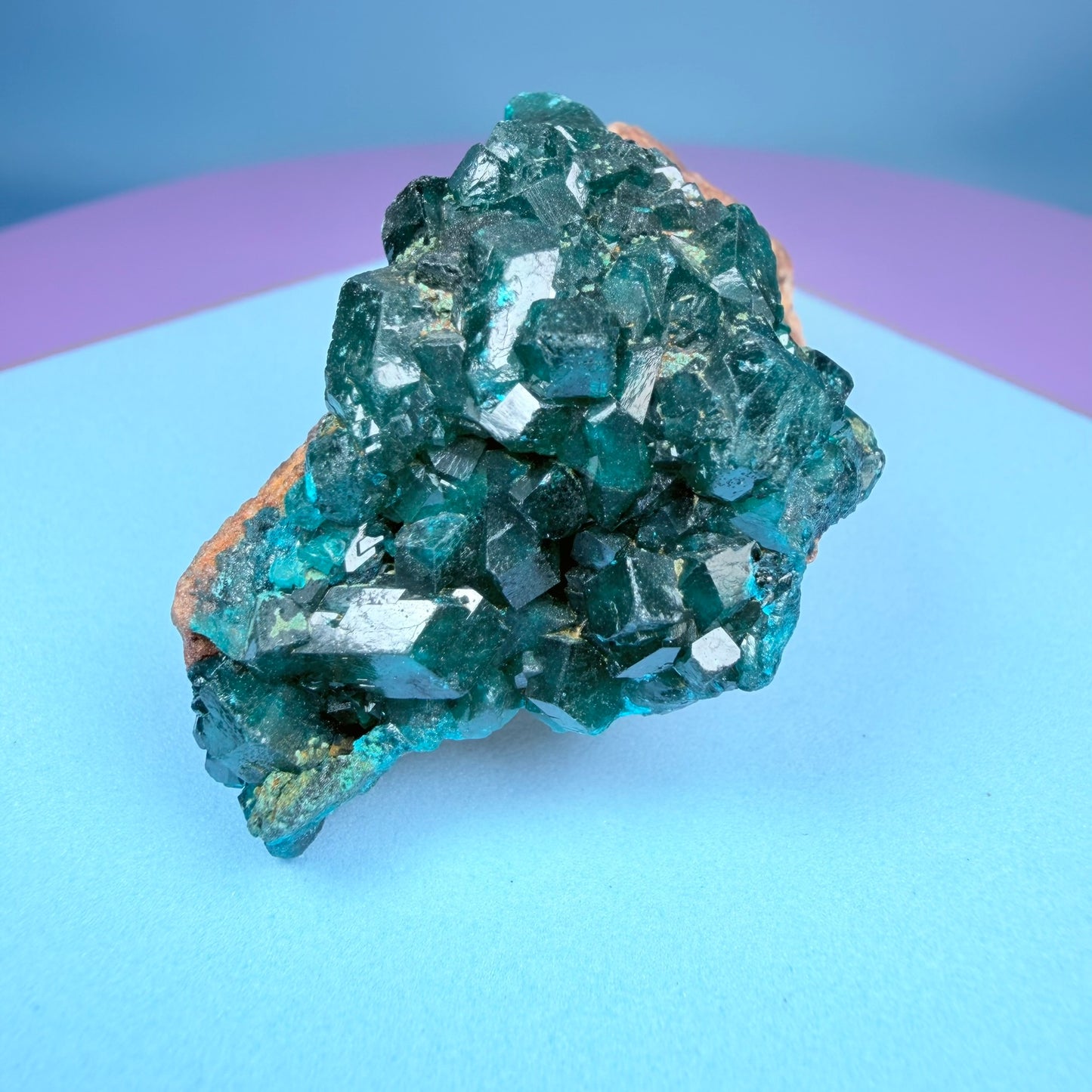 Rare Dioptase Cluster Specimen (Video)