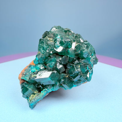 Rare Dioptase Cluster Specimen (Video)