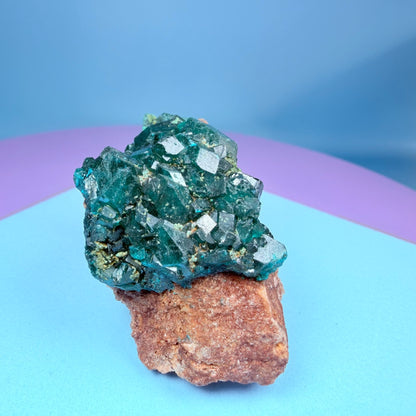 Rare Dioptase Cluster Specimen (Video)