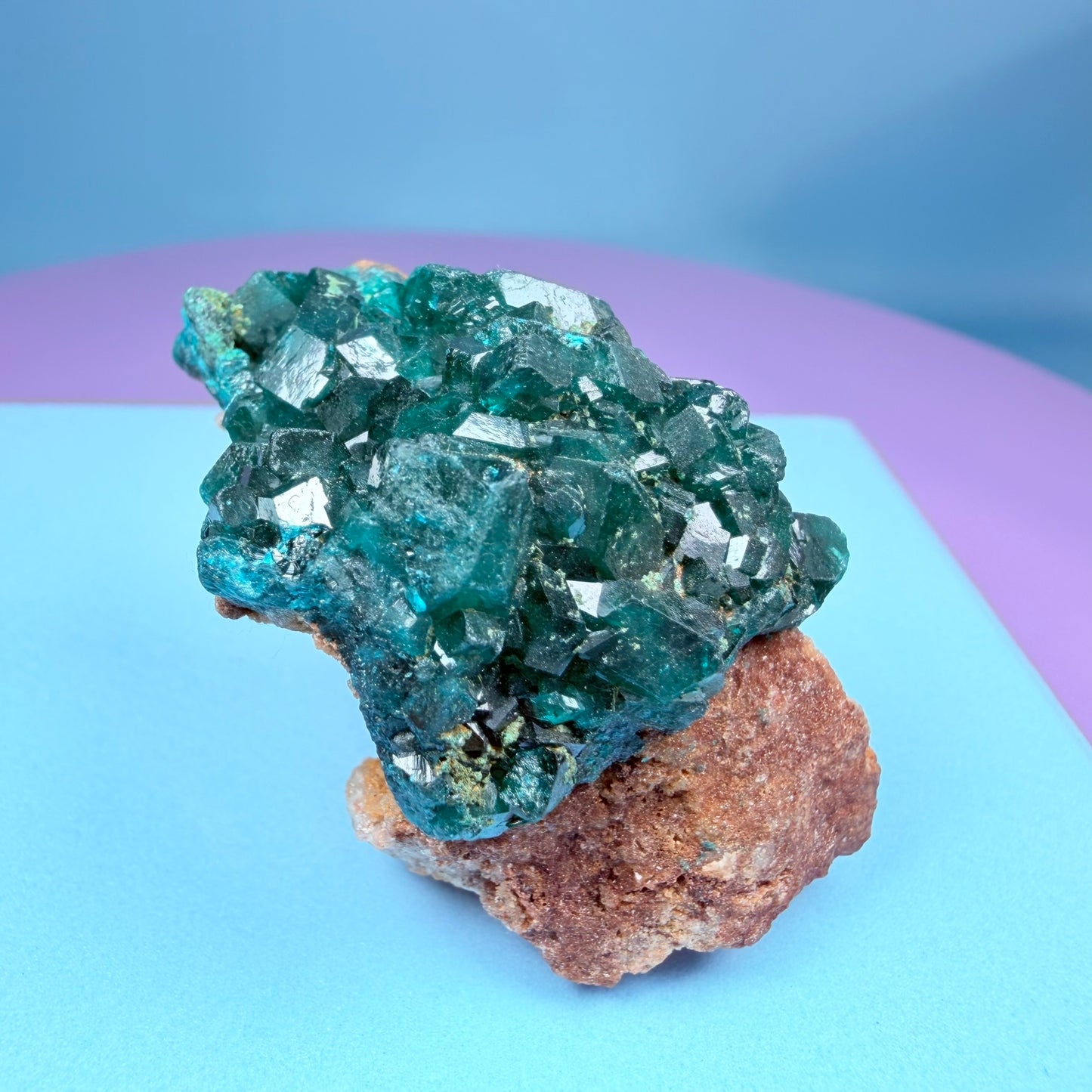 Rare Dioptase Cluster Specimen (Video)