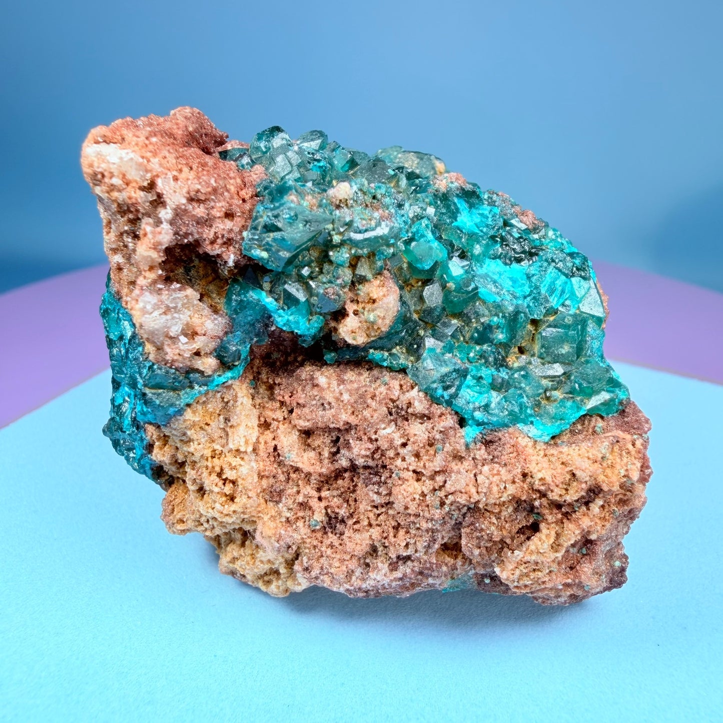 Rare Dioptase Cluster Specimen (Video)