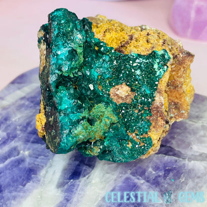 Rare Dioptase Cluster Medium Specimen B