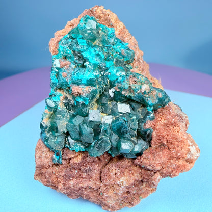 Rare Dioptase Cluster Specimen (Video)
