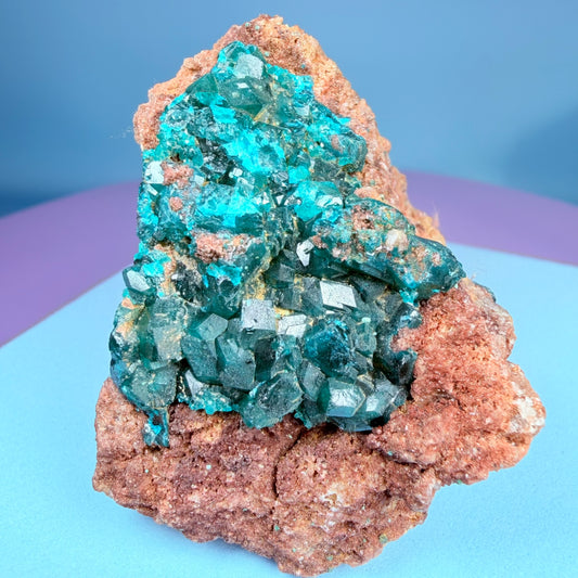 Rare Dioptase Cluster Specimen (Video)