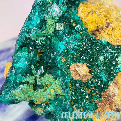 Rare Dioptase Cluster Medium Specimen B