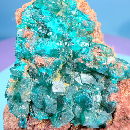 Rare Dioptase Cluster Specimen (Video)