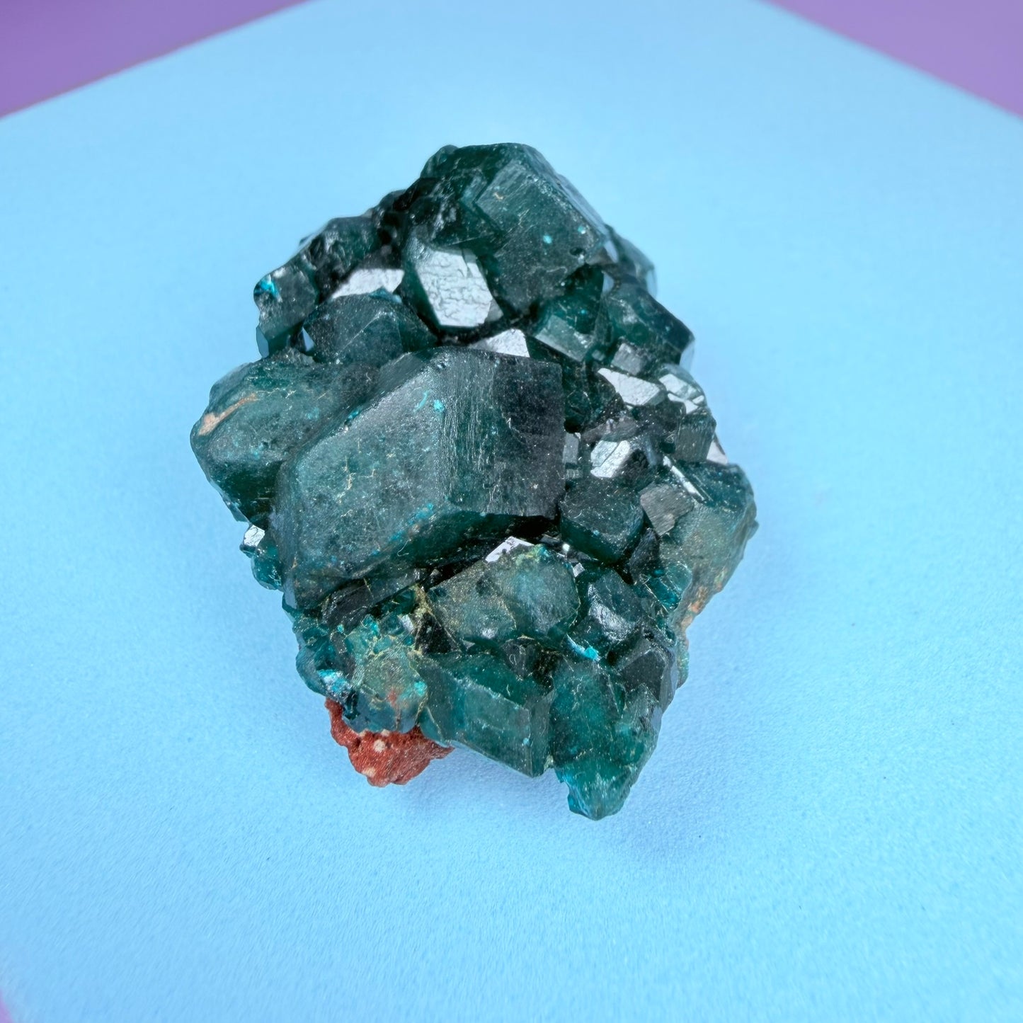 Rare Dioptase Cluster Specimen (Video)