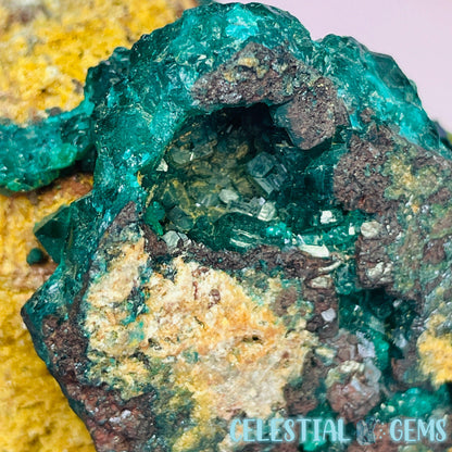 Rare Dioptase Cluster Medium Specimen B