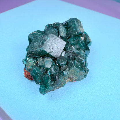 Rare Dioptase Cluster Specimen (Video)