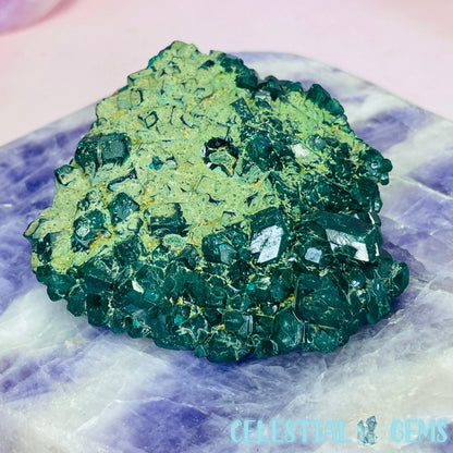 Rare Dioptase Cluster Medium Specimen C