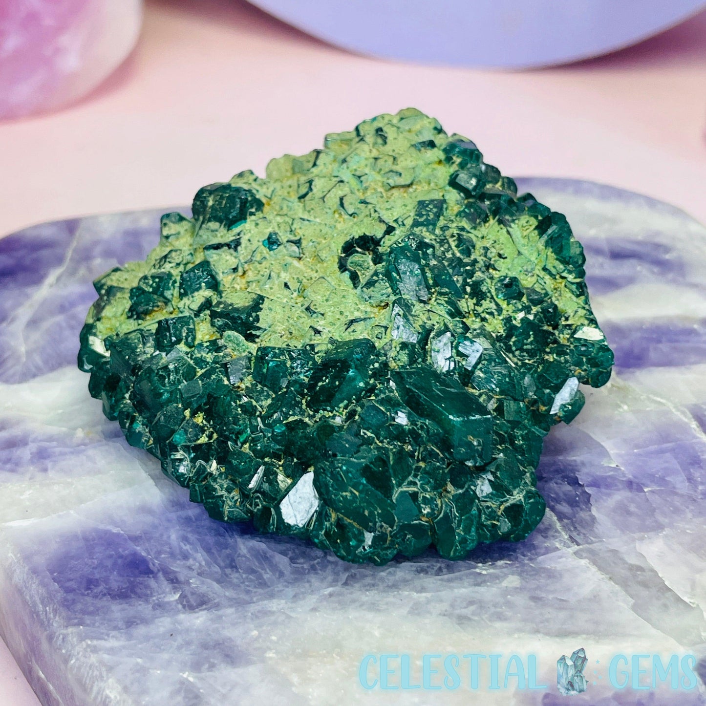 Rare Dioptase Cluster Medium Specimen C