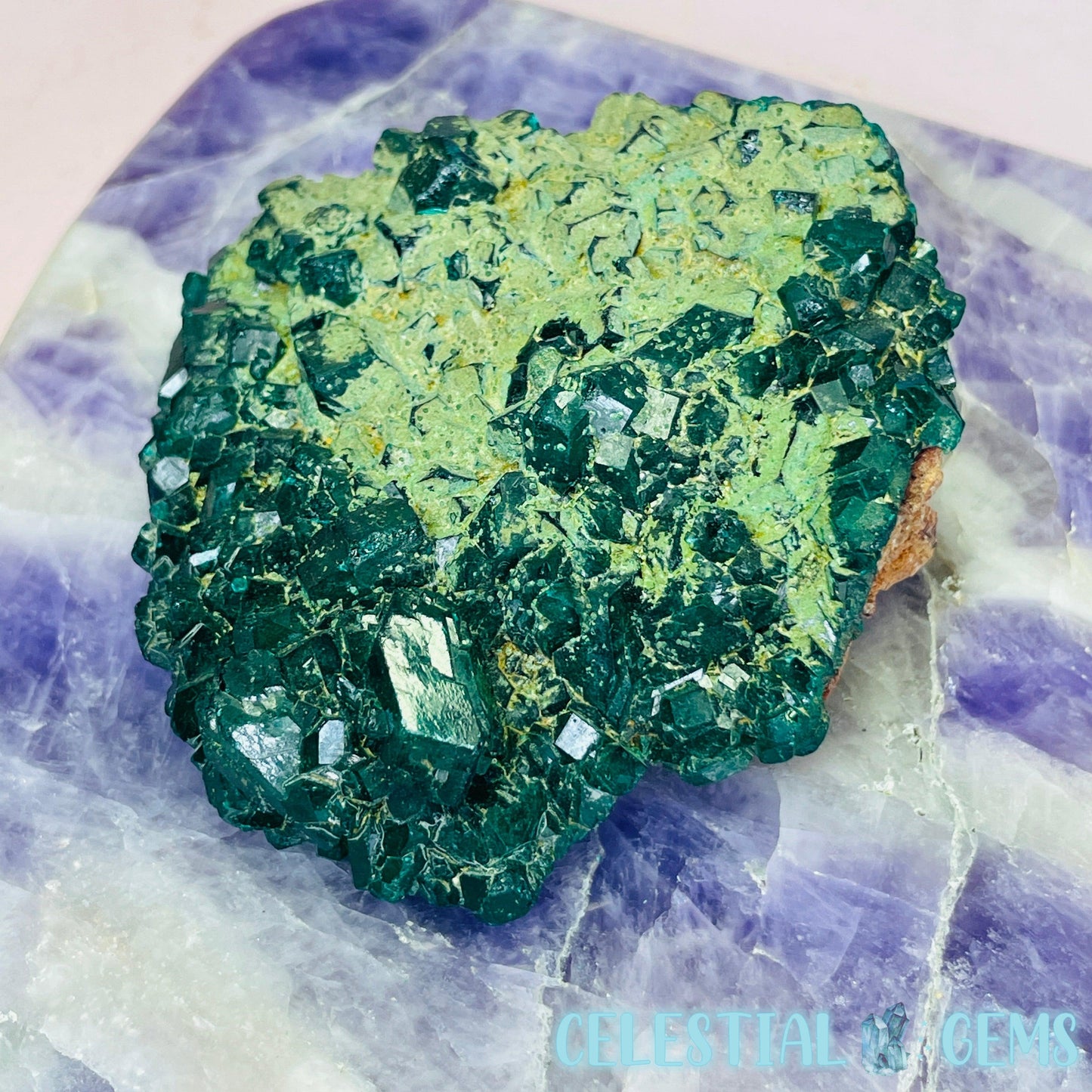 Rare Dioptase Cluster Medium Specimen C