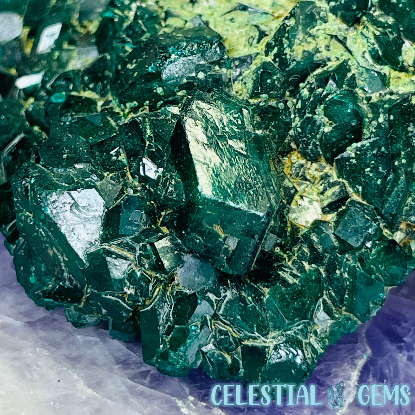 Rare Dioptase Cluster Medium Specimen C