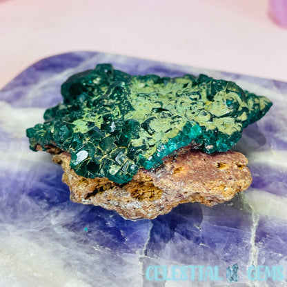 Rare Dioptase Cluster Medium Specimen C