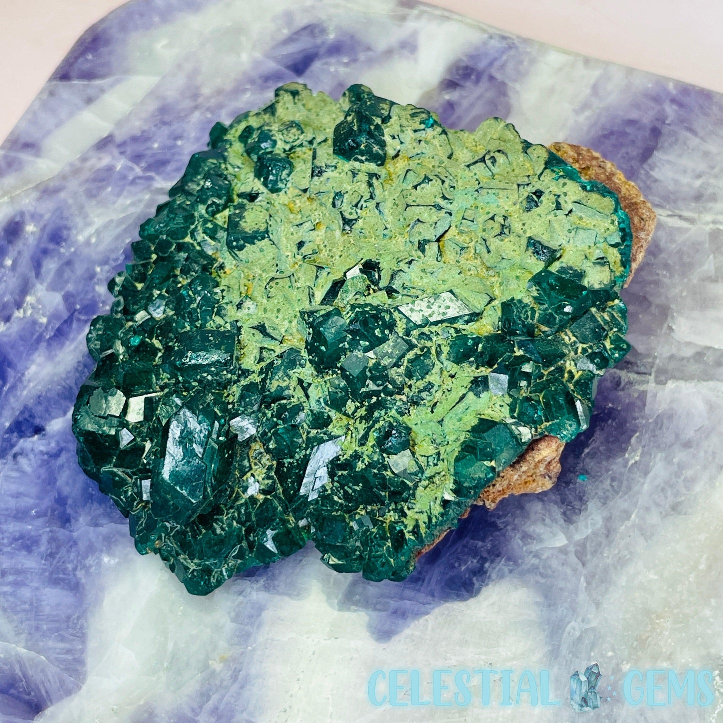 Rare Dioptase Cluster Medium Specimen C