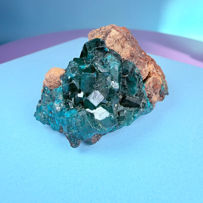 Rare Dioptase Cluster Specimen (Video)