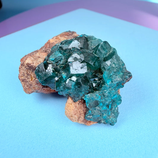 Rare Dioptase Cluster Specimen (Video)