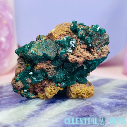 Rare Dioptase Cluster Medium Specimen D