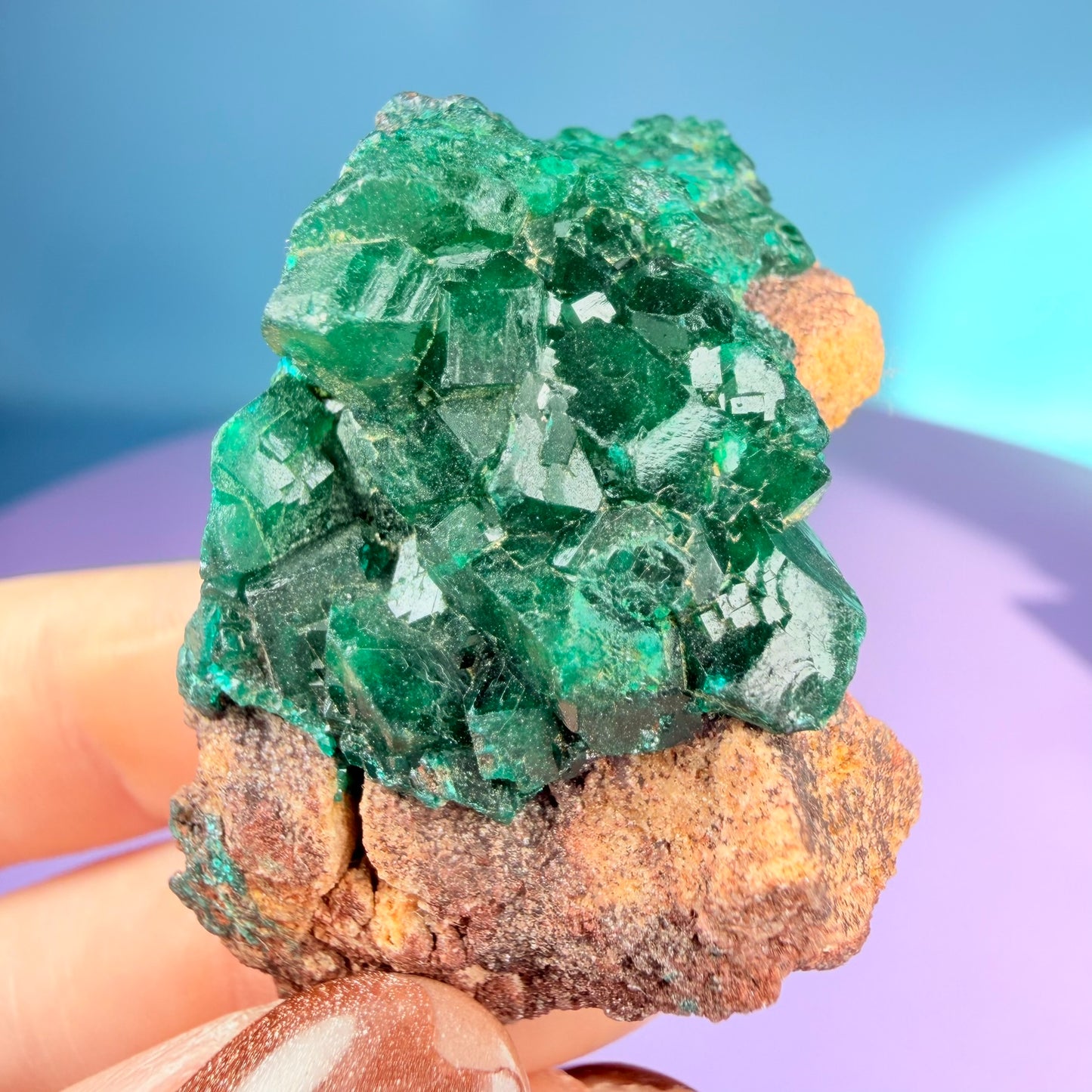 Rare Dioptase Cluster Specimen (Video)