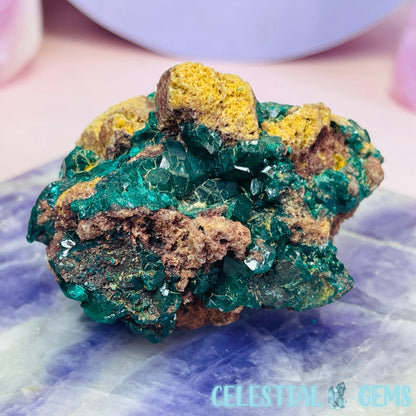 Rare Dioptase Cluster Medium Specimen D