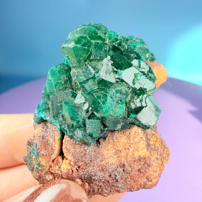 Rare Dioptase Cluster Specimen (Video)