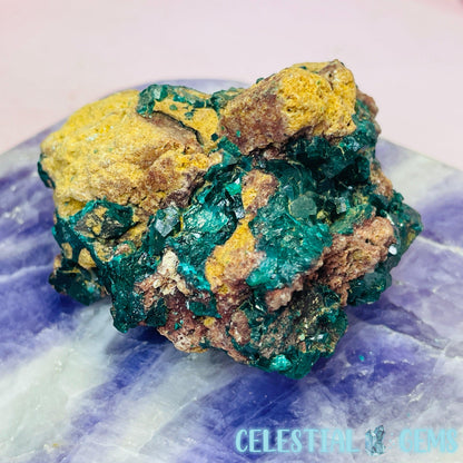 Rare Dioptase Cluster Medium Specimen D