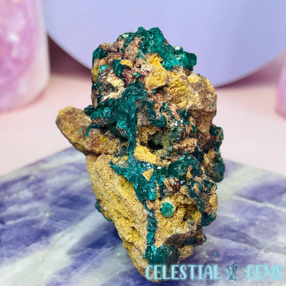 Rare Dioptase Cluster Medium Specimen D